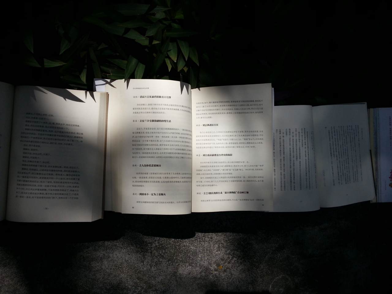 mmexport1672545570872